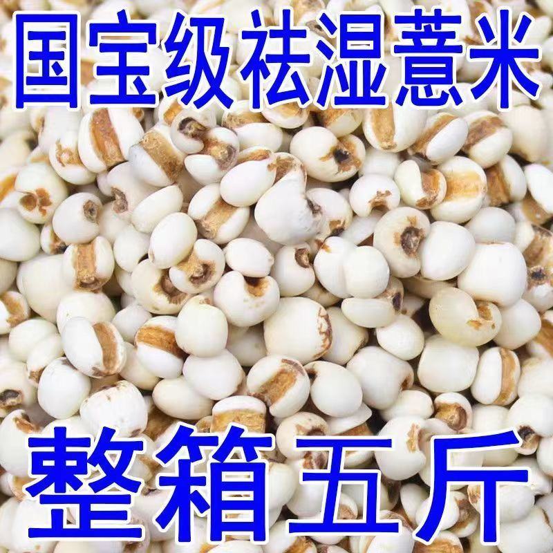 贵州薏米薏米贵州新货，2023新货薏米