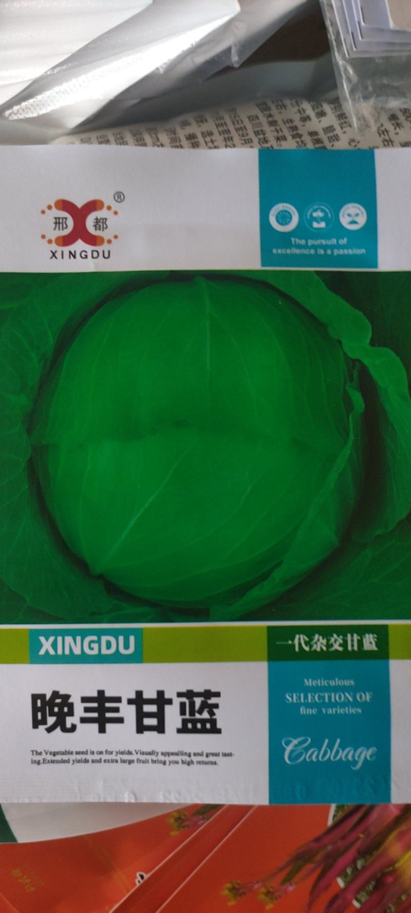 耐寒越冬甘蓝种子扁圆形秋季越冬两用圆包菜种子春眠升级品种