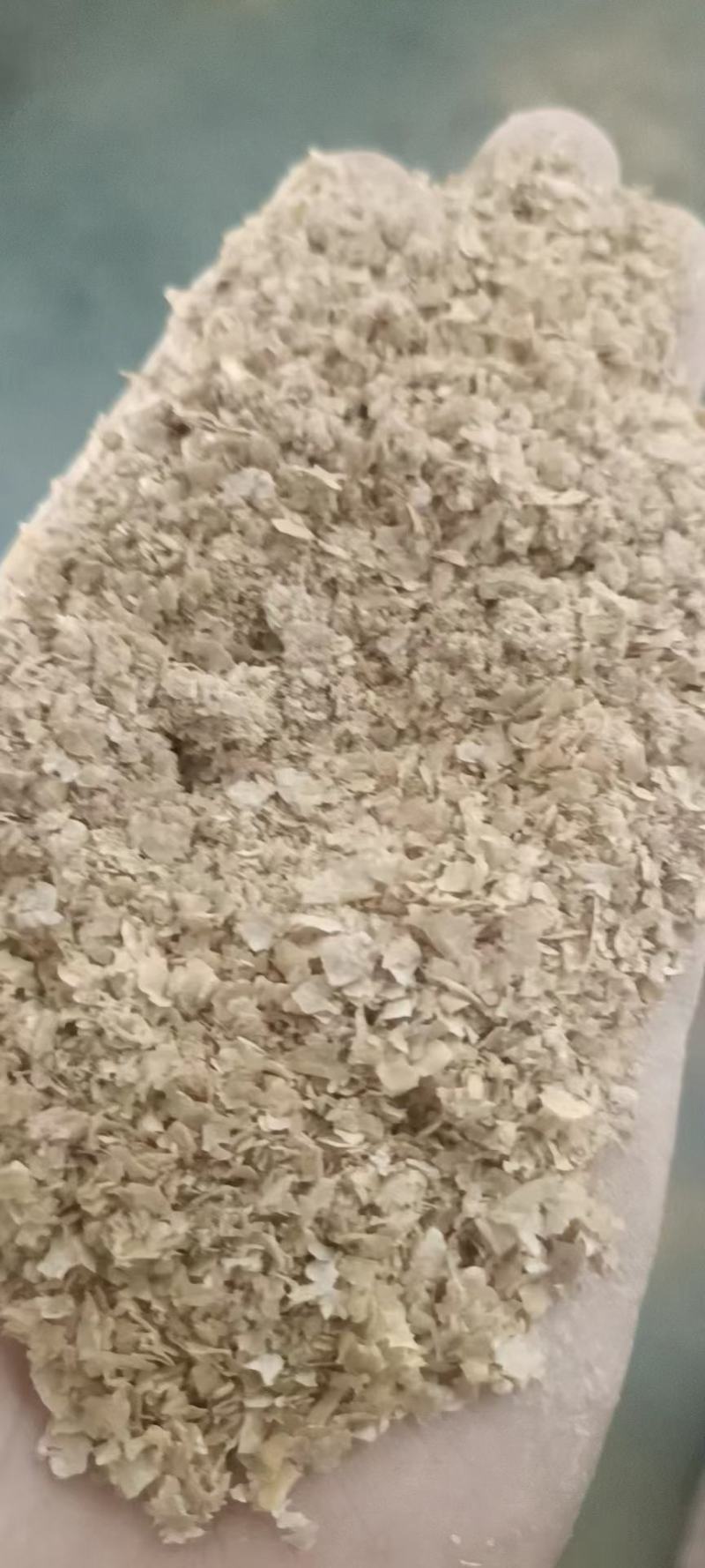 麸皮