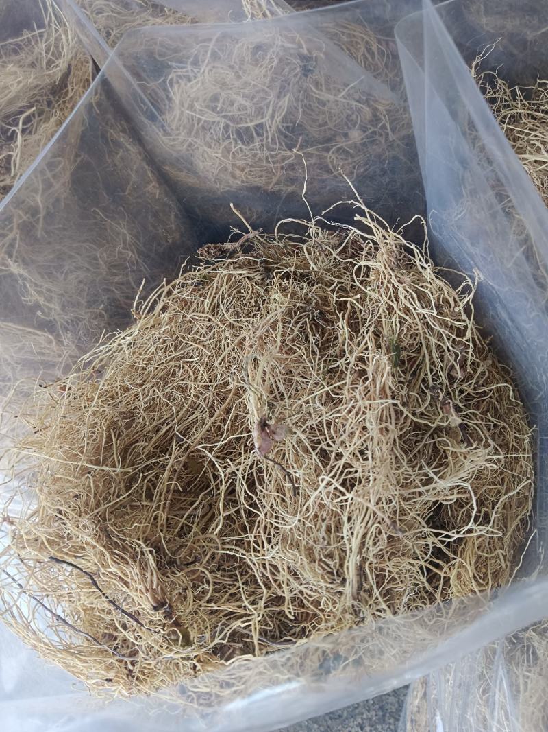 细辛，水洗辽细辛，干度新货质量保证实拍现货24小时内发货