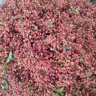 大红袍花椒