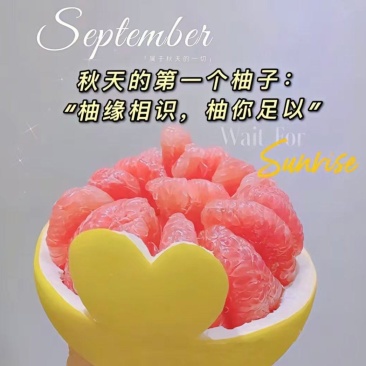 三红蜜柚