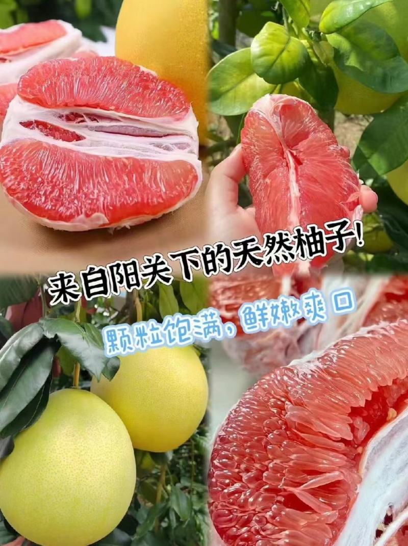 三红蜜柚