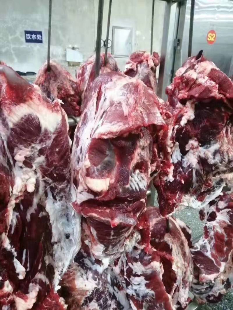 牛肉黄牛肉精修无油纯干无水全国冷链物流配送。