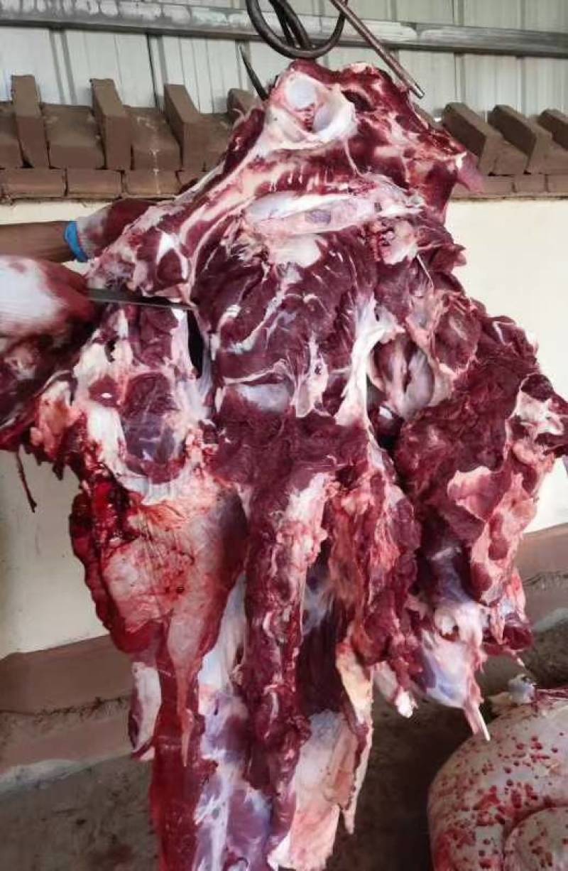 牛肉黄牛肉精修无油纯干无水全国冷链物流配送。