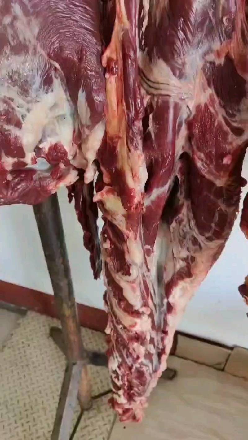 牛肉黄牛肉精修无油纯干无水全国冷链物流配送。
