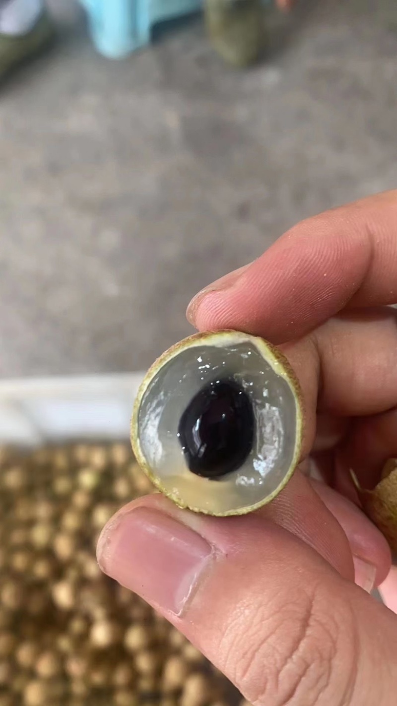 龙眼