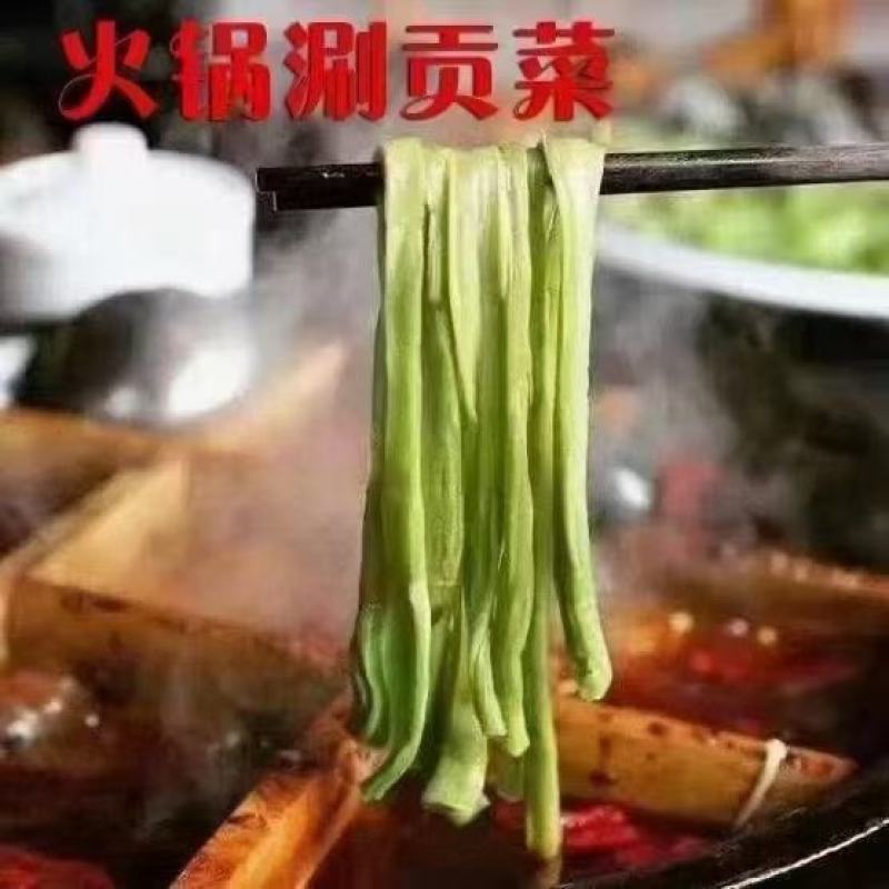 贡菜，承接各种业务，火锅，出口