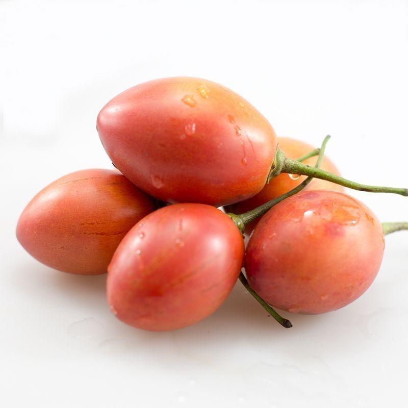 云南洋酸茄大树酸茄树番茄新鲜蔬菜酸甜开胃鸡蛋果反季果子