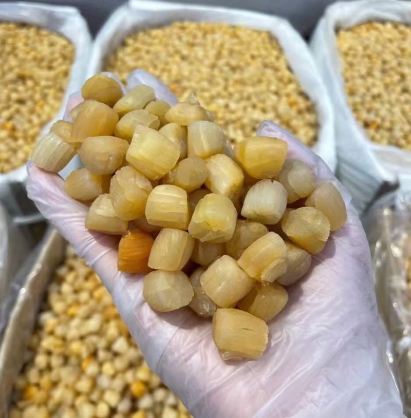 干贝瑶柱新鲜干度好品质好一手货源有量批发