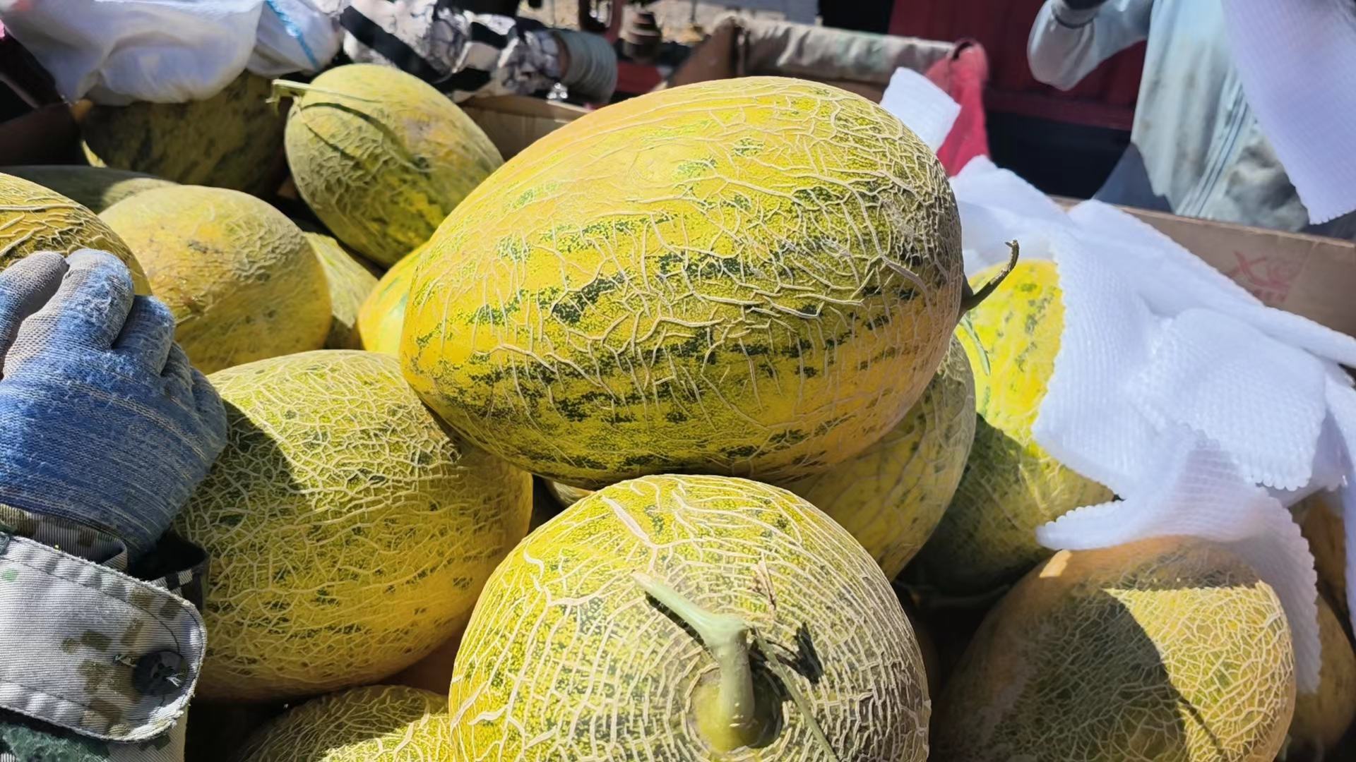 哈密瓜搭配酸奶与薄荷制作健康甜品