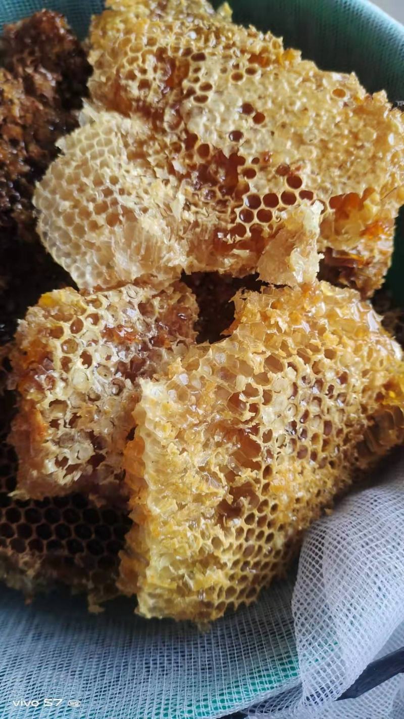 云南丽江野生优质土蜂蜜，零添加，无勾兑，假一赔十！