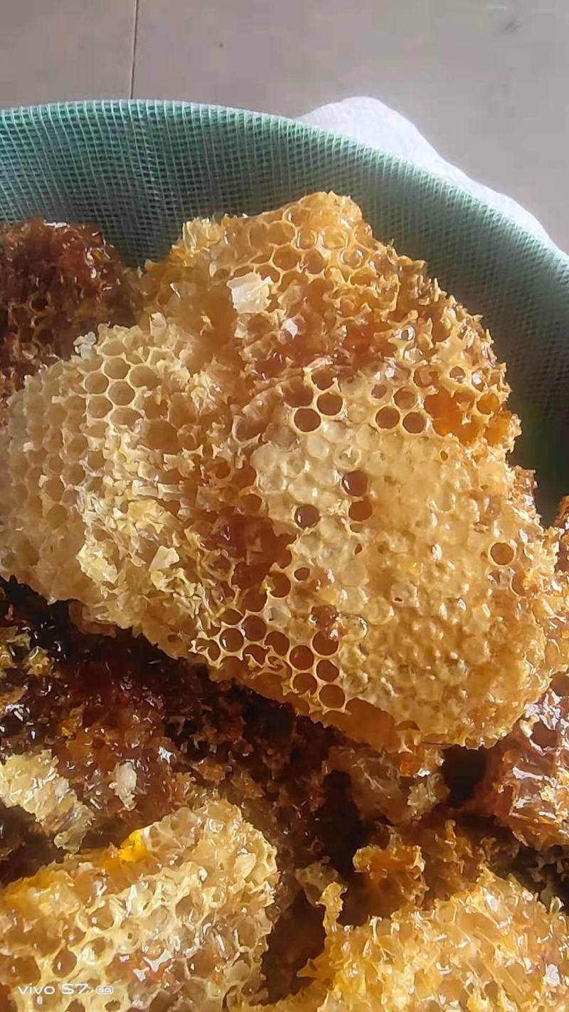云南丽江野生优质土蜂蜜，零添加，无勾兑，假一赔十！