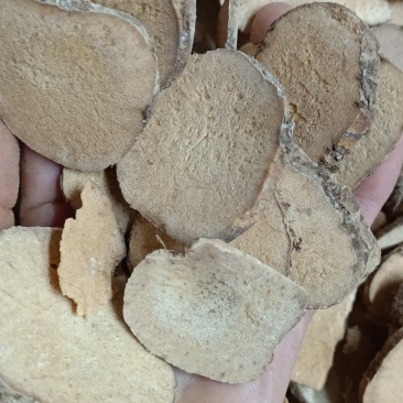 泽泻各种中药材名贵药材准备药材代加工多种药材一起批发