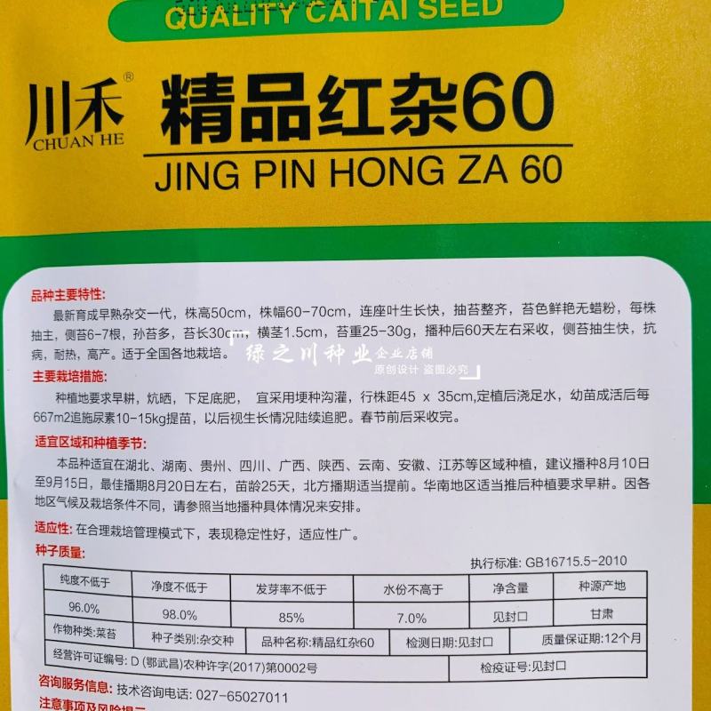 红菜薹种子一代杂交早熟高产红菜苔种子没有蜡粉叶子小出苔快
