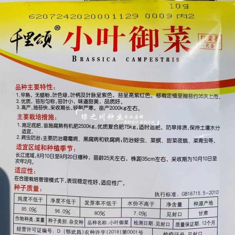 红菜薹种子一代杂交早熟高产红菜苔种子没有蜡粉叶子小出苔快