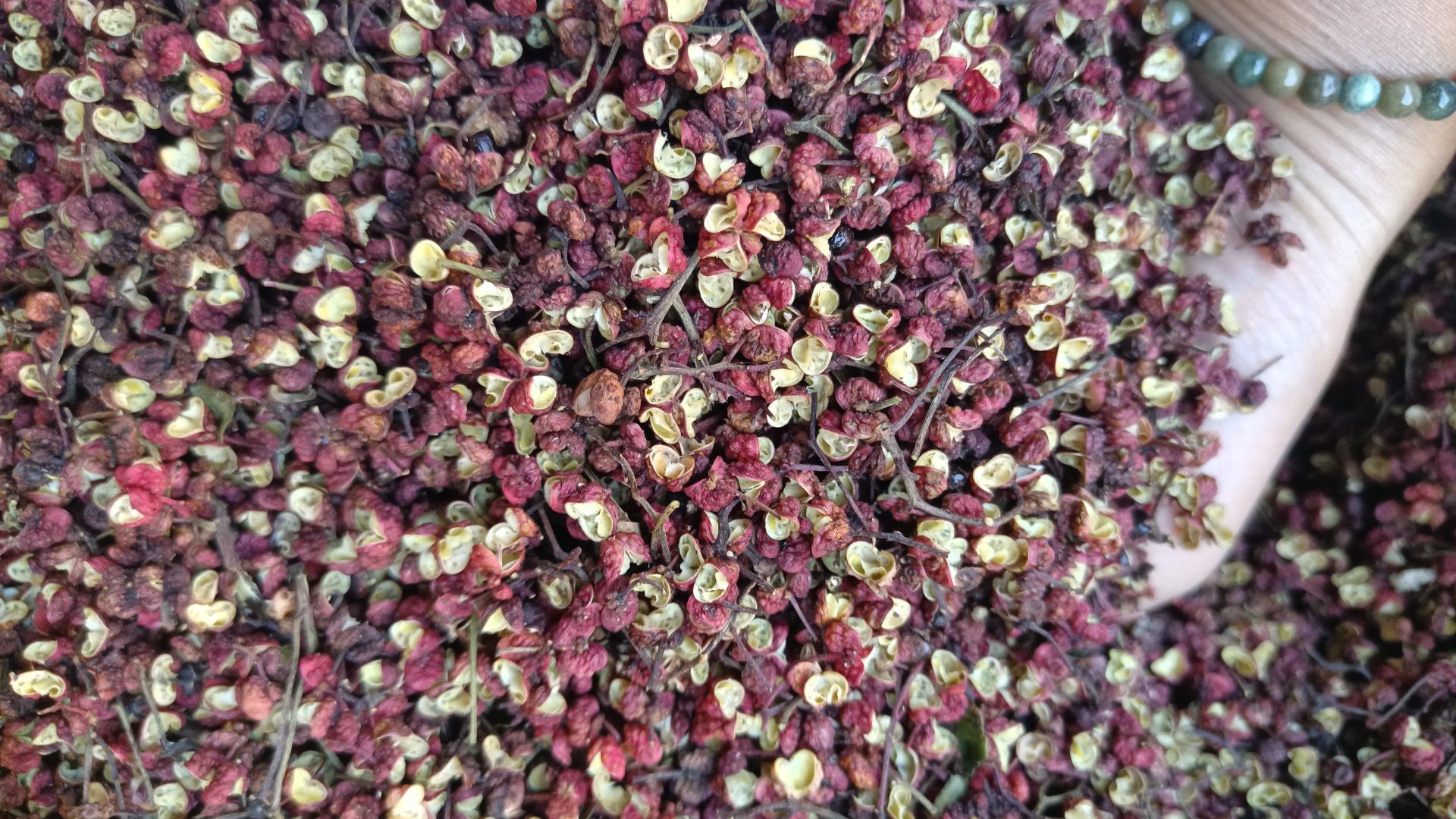白胡椒与黑胡椒在不同菜肴中的应用对比图,展示其在汤品、炒菜、腌料中的使用效果 白胡椒与黑胡椒烹饪应用对比图