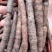 【热卖中】仙茅云南产地，高含量超药典标准，保质保量