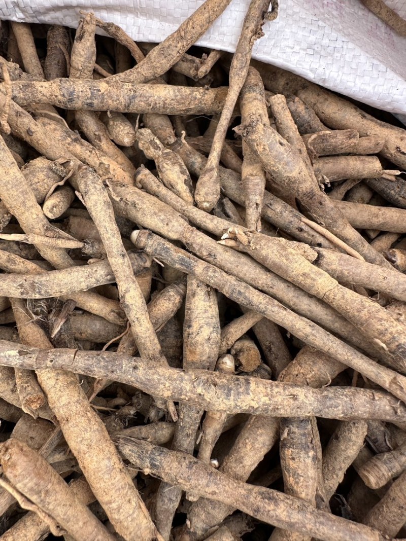 【热卖中】仙茅云南产地，高含量超药典标准，保质保量