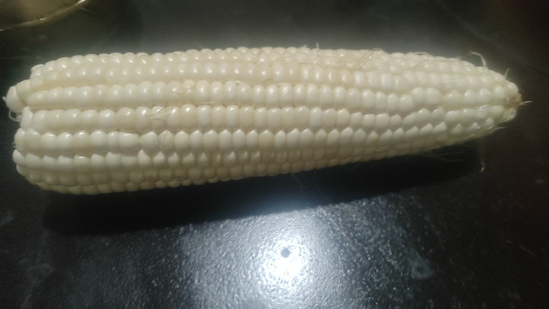 白色玉米实物图