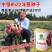 紫皮中领8522洋葱种子圆形100克