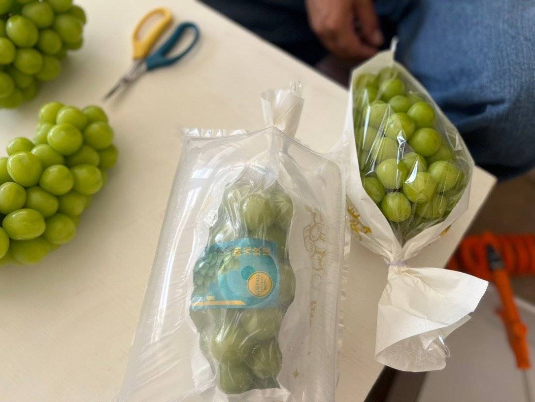 阳光玫瑰葡萄与其他水果搭配展示图