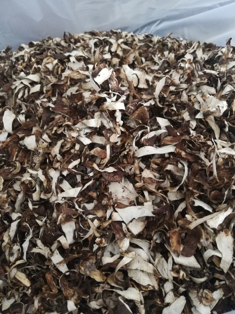 野生松茸皮，已过筛没有土和杂质
