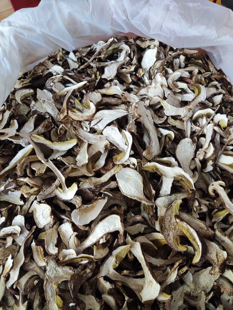 云南野生菌，精品美味牛肝菌，各种等级价格都有，下单请咨询
