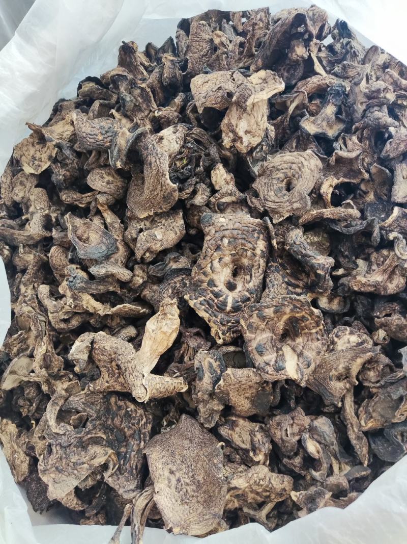 黑虎掌菌