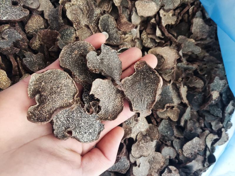 黑松露干片