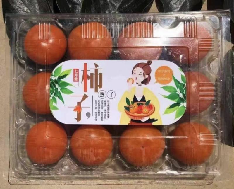 陕西七月黄柿子，火葫芦，吊红柿子上市了，对接各大市场电商
