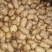 《推荐》黄心土豆内蒙精品土豆品质好质量保证