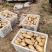 《精品》内蒙精品黄心土豆大量上市产地直发价格便宜