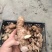 生姜种子批发姜种繁育基地产量高提供技术