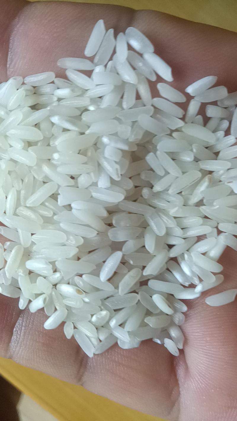 食堂大米便宜大米源头工厂直销饭堂米员工餐米