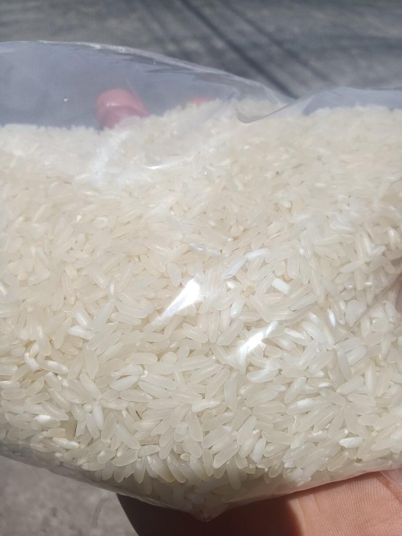 食堂大米便宜大米源头工厂直销饭堂米员工餐米