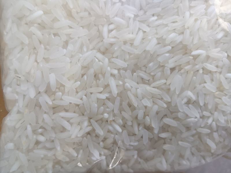 提供各种品种大食堂大米便宜大米五常大米工会福利大米