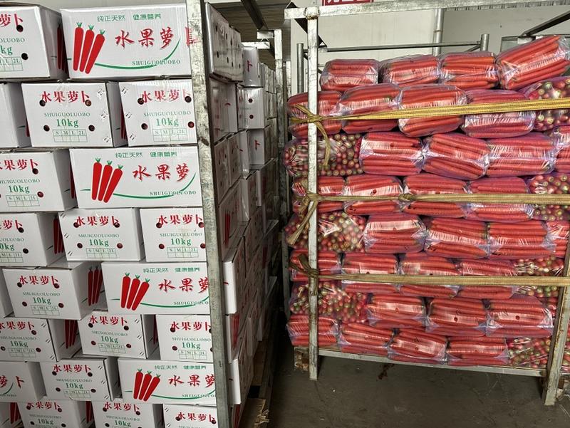 【甄选】精品陕西胡萝卜大量上市中条小条供应精品红萝卜欢迎