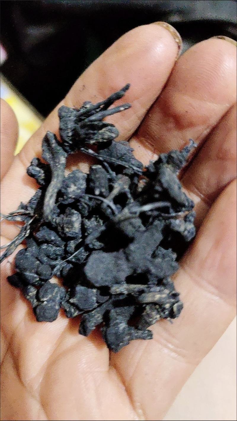 猫爪草中药材野生猫抓草正品散装新鲜干货水洗猫爪草