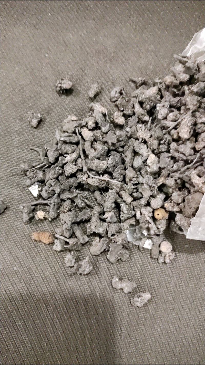 猫爪草中药材野生猫抓草正品散装新鲜干货水洗猫爪草