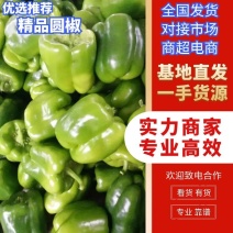 圆椒，鲜辣椒货源充足，品质保证量大从优产地直发价格优惠