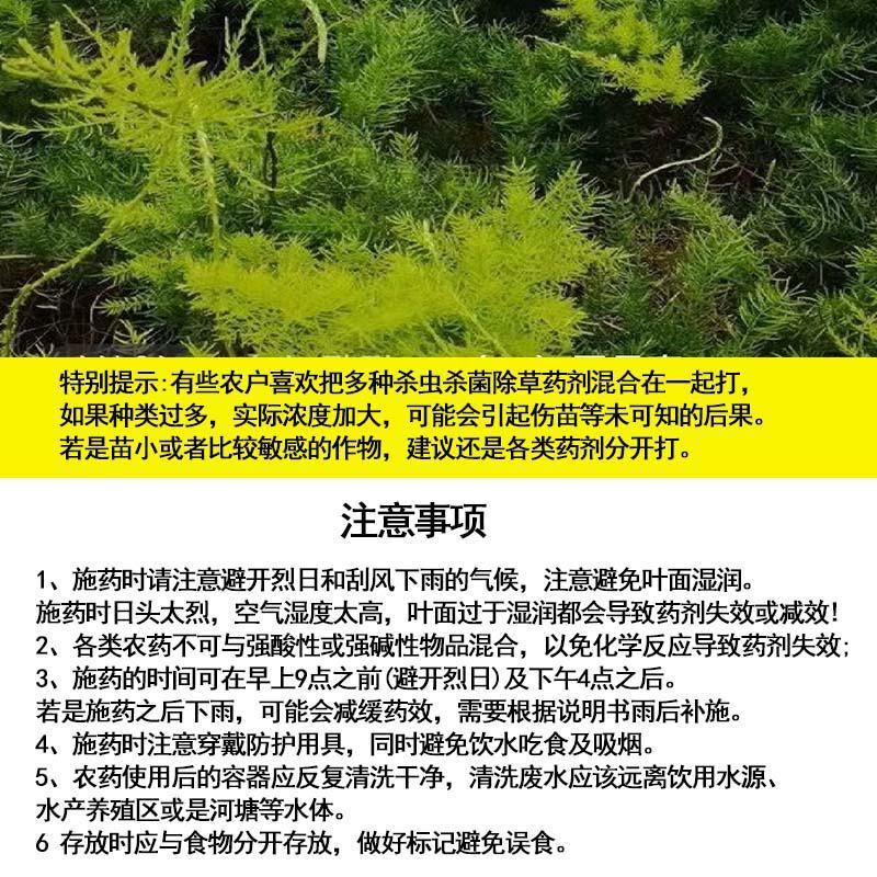 百部除草剂百部根苗后除草剂除禾阔尖叶圆叶草百部种植除杂草