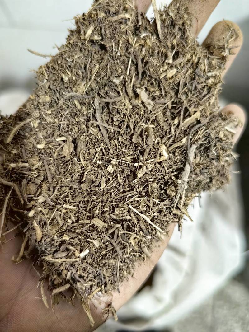 紫菀沫子批发支持代发1000克