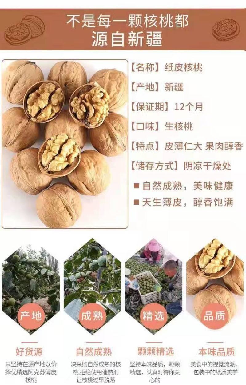 新疆薄皮33精品大果，电商专用新疆薄皮核桃