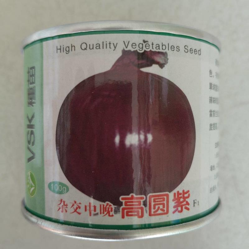 高圆紫洋葱种子日本进口紫皮洋葱种子杂交中晚圆葱种子紫红色