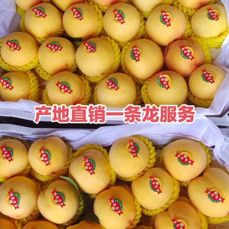 陕西礼泉特产精品脆甜大黄桃上市了，有需要联系