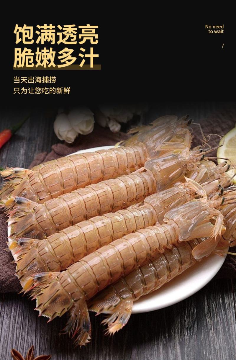 熟冻皮皮虾冷冻濑尿虾虾爬子鲜活蒸熟虾姑爬爬虾批发零售