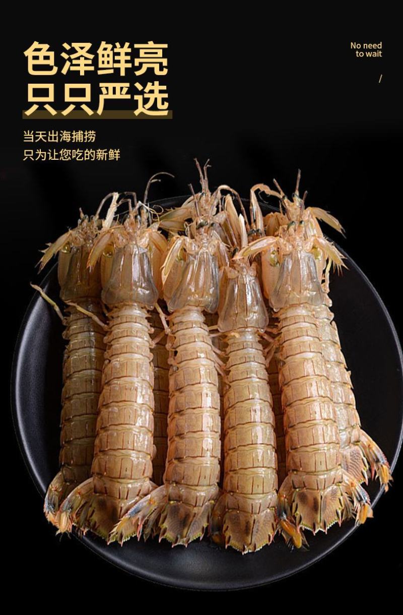 熟冻皮皮虾冷冻濑尿虾虾爬子鲜活蒸熟虾姑爬爬虾批发零售