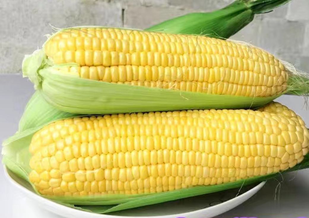 水果玉米营养价值展示图