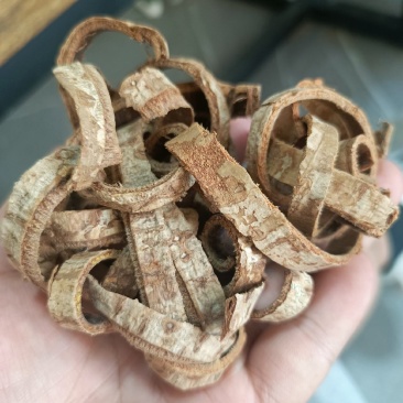 厚朴刮皮丝